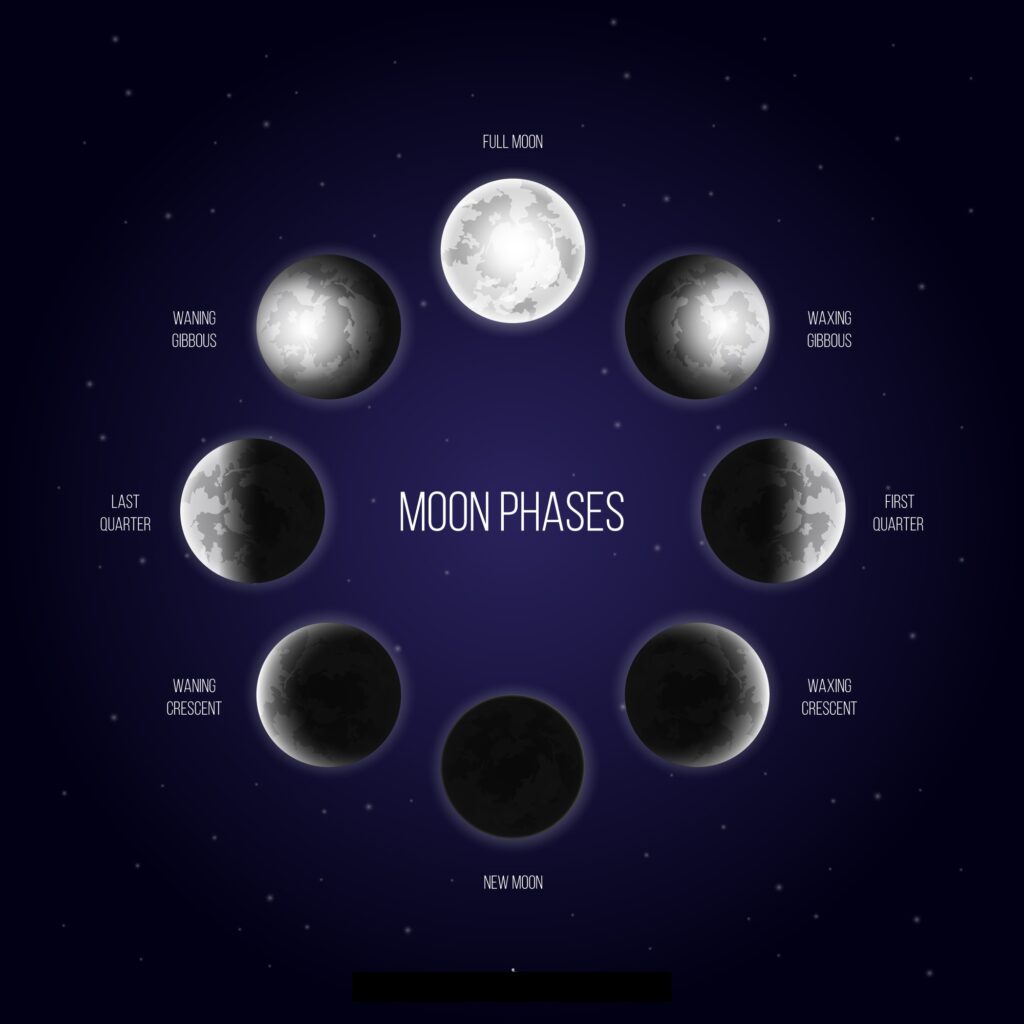 Moon calendar